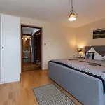 Geiger Witów