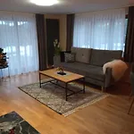 Geiger Witów