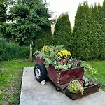 Apartament Geiger