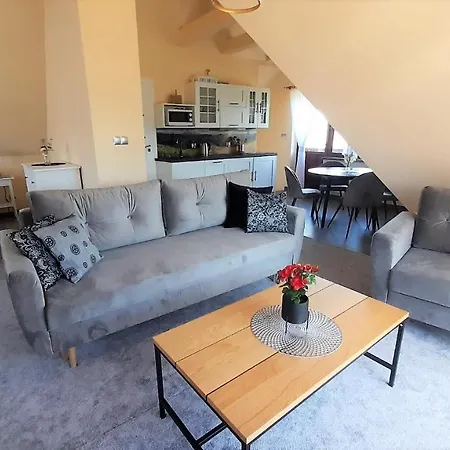 Apartment Geiger