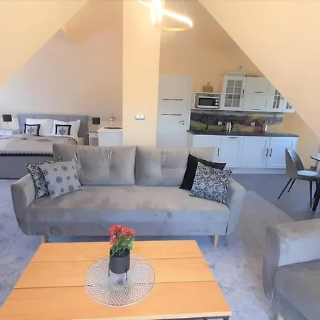 Apartament Geiger *