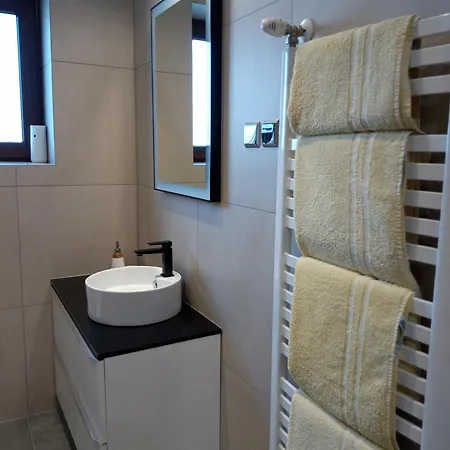 Geiger アパート Witów