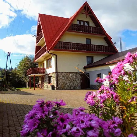 Geiger * Witów