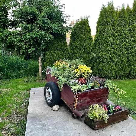 Apartament Geiger